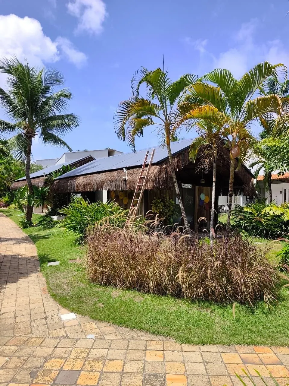 Hotel Pipa Atlântico na Praia de Pipa, com cobertura termoacústica integrada ao paisagismo tropical de coqueiros